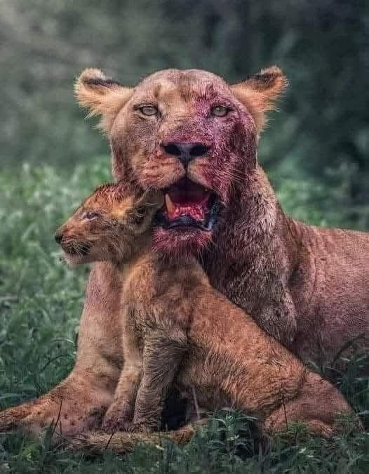 Family therapy